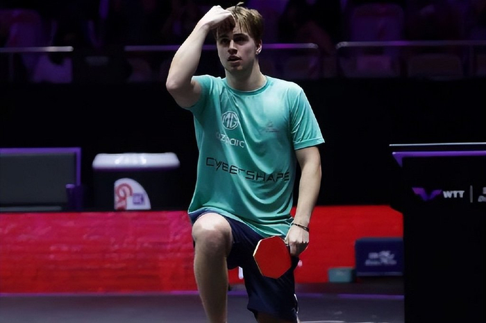 职业生涯的 职业生涯的